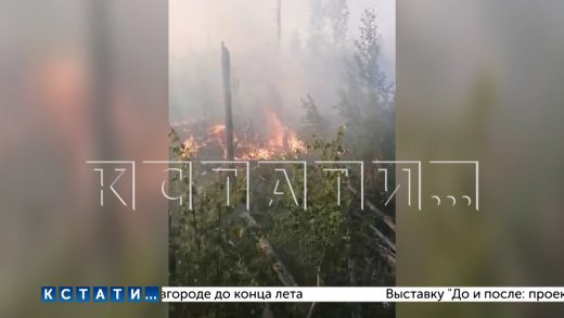 Удар молнии привел к пожару в Креженском заповеднике