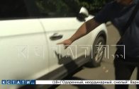 В честь дня рождения жены житель Канавинского района напал на припаркованные автомобили