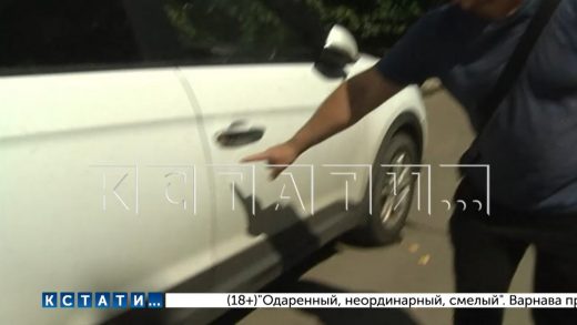 В честь дня рождения жены житель Канавинского района напал на припаркованные автомобили
