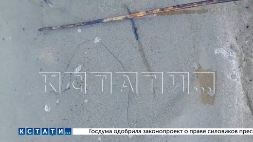 Черные черви, длиной до 50 см, в воде пугают отдыхающих на нижегородских пляжах