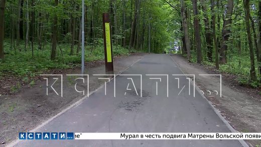 Экобрусчатку, которую положили во время благоустройства озер на Щелковском хуторе, решили заменить