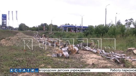 Глава СК России дал поручение возбудить дело из-за вырубки деревьев для строительства газопровода