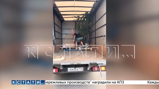 Грузчики за перевозку трех цветков потребовали 18000 рублей, а получив отказ — устроили погром
