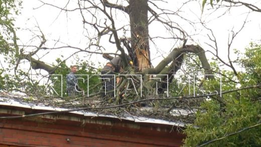 Рухнувшее дерево пробило крышу, потолок и оказалось в квартире