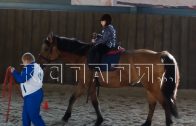 Для реабилитационного зооцентра «Надежда» закуплены новые лошади
