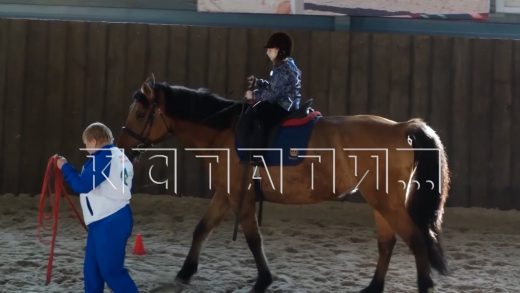 Для реабилитационного зооцентра «Надежда» закуплены новые лошади