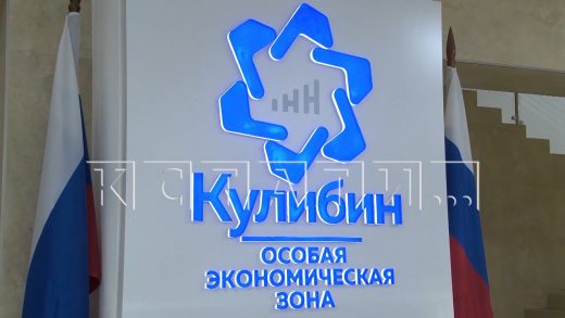 Нижегородскую область с официальным визитом посетил глава министерства экономического развития