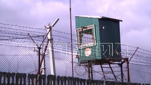 Трое заключенных сбежали из колонии в Краснобаковском районе