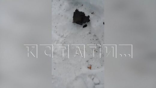 Черный снег и пепел сыпется на головы жителям поселка Березовая пойма