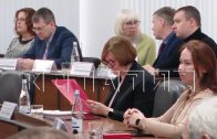 Нижегородские депутаты заслушали доклад мэра Нижнего Новгорода об исполнении национальных проектов