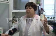 Нижегородские ученые химики заняли лидирующие позиции на российском рынке присадок для масел