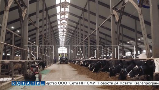 Благодаря мерам господдержки в Нижегородской области в 23 году создали 18 животноводческих хозяйств