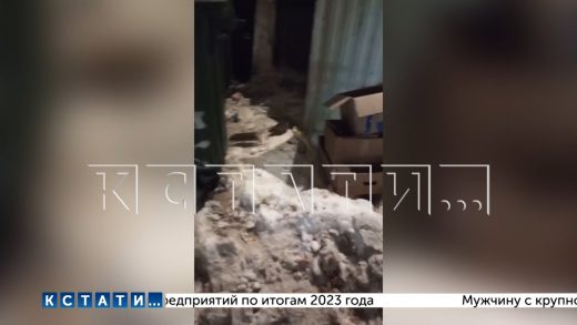 Стаи крыс появились в центре Нижнего Новгорода из за не вывоза мусора