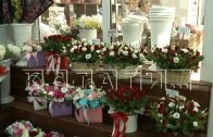 В День всех влюбленных цена за 1 розу достигла 400 рублей