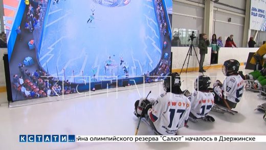 Впервые в Нижегородской области прошло первенство по фиджитал-хоккею