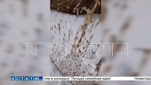 Сахарный завод, затопивший город Сергач патокой, залил сахаром по словам рыбаков реку Пьяну