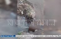 Из за прорыва канализации в Богородске фекальные воды затопили огороды в местных садоводчествах