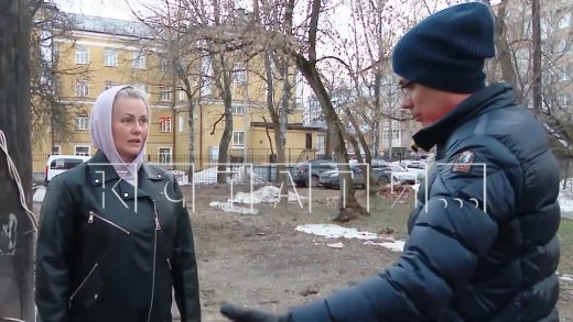 Липами, вместо погибших деревьев, засадят центр Нижнего Новгорода