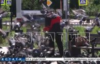 Любовью к птицам загадили центральную площадь в Дзержинске