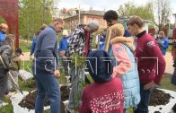 В Нижнем Новгороде высадили деревья в память о погибших в Великой Отечественной войне
