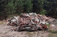 Мясокомбинат свалил горы своих отходов в лесу в Сормовском районе