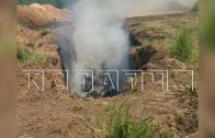 Бескрайнее поле огня в Большемурашкинском районе сжигают животных, после вспышки АЧС