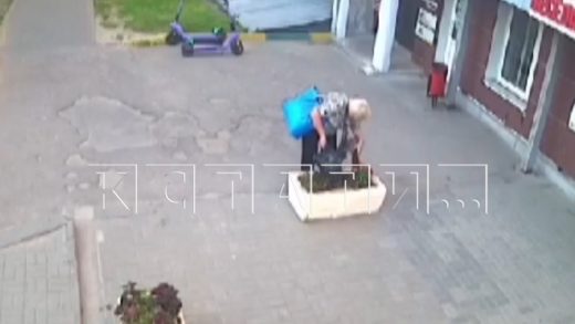 Пенсионерка совершила серию цветочных краж с клумб в Приокском районе