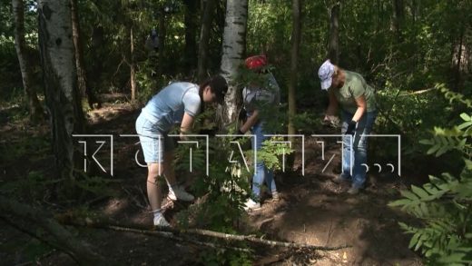 В лесах Городецкого района в рамках акции «Чистый лес» сегодня прошла уборка