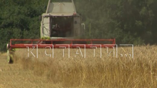 Лучшие работники сельхозпредприятий Нижегородской области получили сегодня награды