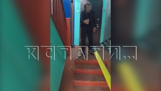 Кстовские «рыцари» устроили дуэль на граблях и рожке для обуви, не сойдясь в музыкальных вкусах