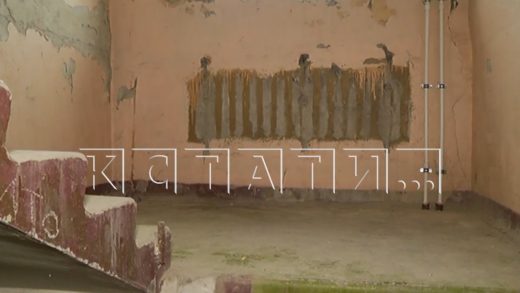 Новые скандалы с недостроенным виварием ПИМУ — подрядчики требуют денег, зоозащитники ищут макак