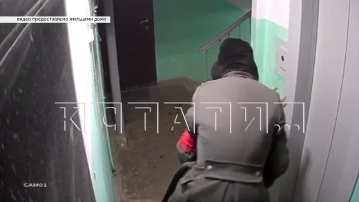 Правозащитник и профессиональный кандидат в депутаты снова подозревается в опытах над животными