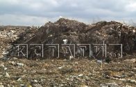 Ущерб более чем на 400 миллионов рублей нанесли природе организаторы свалки в Шатковском районе