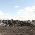 3 года контролирующие органы борются с незаконной свалкой под Дзержинском, а она всё растет