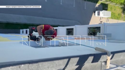 Альпинистам пришлось спасать кота, которого хозяйка заперла на три недели в квартире на 10 этаже