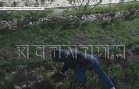 Бабушка обворовала соседей, но забыла о существовании камер видеонаблюдения