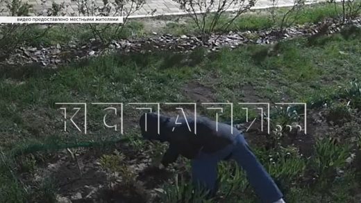 Бабушка обворовала соседей, но забыла о существовании камер видеонаблюдения