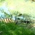 Благоустроенную за 150 миллионов рублей городскую речку, превращают в свалку