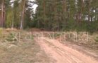 Две маленькие девочки, заблудившиеся в лесу, оказались в болоте и были спасены