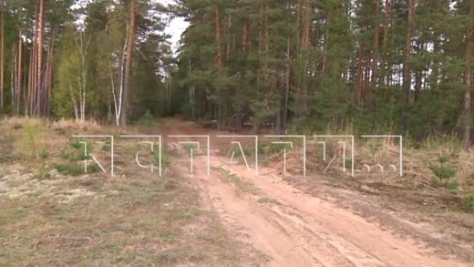 Две маленькие девочки, заблудившиеся в лесу, оказались в болоте и были спасены