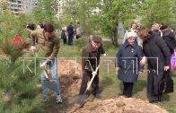 Мэр Нижнего Новгорода высадил новые деревья вместе с ветеранами в сквере Победы