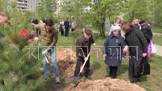 Мэр Нижнего Новгорода высадил новые деревья вместе с ветеранами в сквере Победы