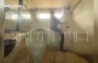 Руководство конной школы обещает перевоспитать учениц, которые дрессировали лошадь до рваных ран