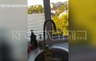 Водопроводные сети Бора не выдержали аномальной жары и город остался без водоснабжения
