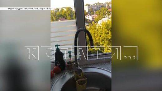 Водопроводные сети Бора не выдержали аномальной жары и город остался без водоснабжения