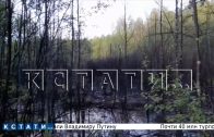Фильтрат, вытекающий из короотвала Балахнинского бумкомбината, отравляет леса в Балахнинском районе
