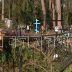 Маленький, но очень сильный смерч, ломал вековые сосны как спички в Борском районе