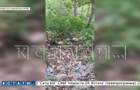 Многодетным семьям положенные по закону земельные участки выдали на свалке и в непролазной чаще