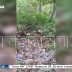 Многодетным семьям положенные по закону земельные участки выдали на свалке и в непролазной чаще