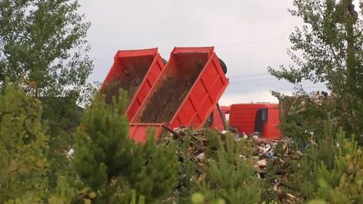 Преступление, которое все видят, но никто не замечает, засняли наши корреспонденты